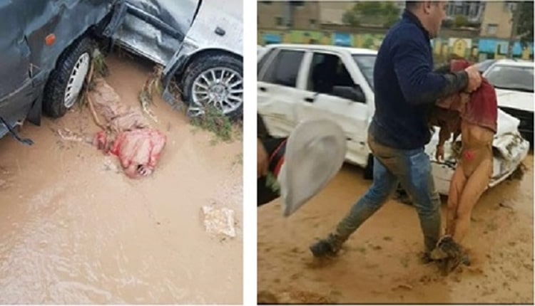 صورة واحدة وألف ألم!