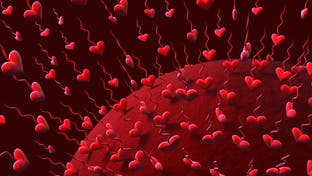 عدد ضحايا كورونا في 347 مدينة في إيران يتخطى 74200 شخص