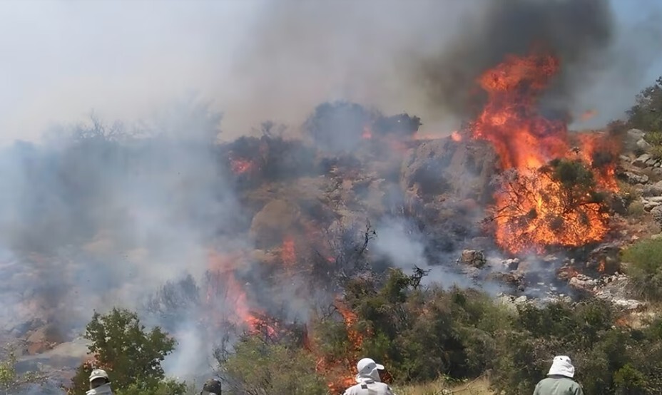 جريمة الإهمال الكبرى: حرائق هيركاني تتواصل للأسبوع الرابع ومسؤولو النظام يُقابلون الكارثة بالإنكار والوصف بـ "حریق أعشاب" طهران –تتفاقم الأزمة البيئية في إيران مع دخول (حرائق) غابات هيركاني (التي يبلغ عمرها 40 مليون سنة) في مدينة تشالوس شمالي إیران أسبوعها الرابع