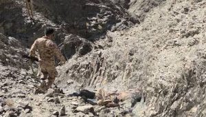 شهدت مدينة راسك في سيستان وبلوشستان اشتباكات مسلحة أسفرت عن حالة من التوتر الأمني، وسط انتشار مكثف للقوات وتحركات ميدانية متواصلة.