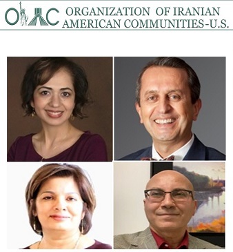 Participants at the OIAC webinar