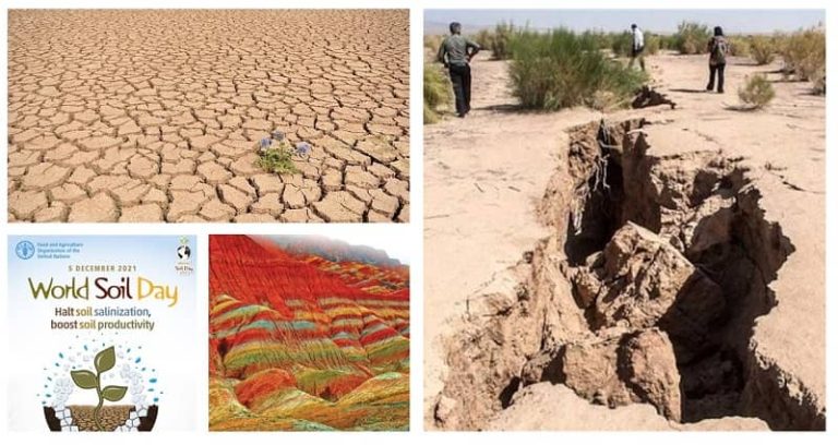 Soil is one of the essential components of nature. The situation on Iranian soil is currently terrible. The International Union of Soil Sciences (IUSS) has designated December 5 as World Soil Day to emphasize the importance of soil and prevent its destruction.
