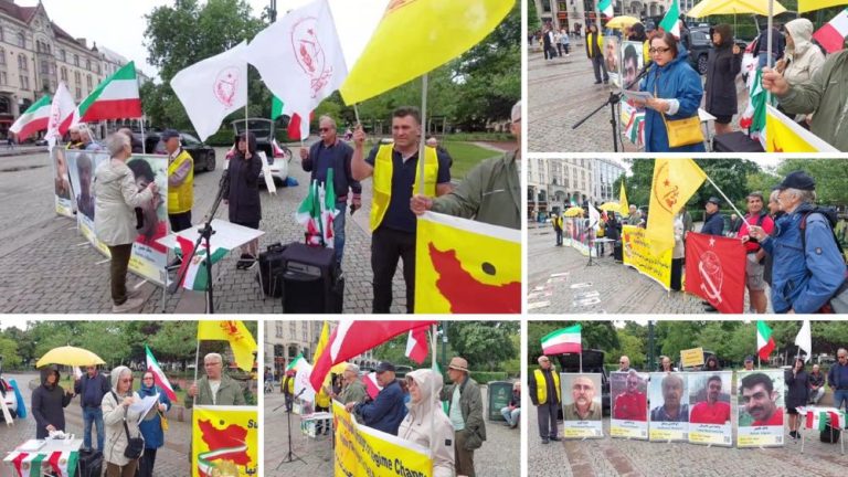 NCRI and PMOI Supporters in Malmö rally against executions in Iran, urging turnout for the June 20 Paris Free Iran Rally.
