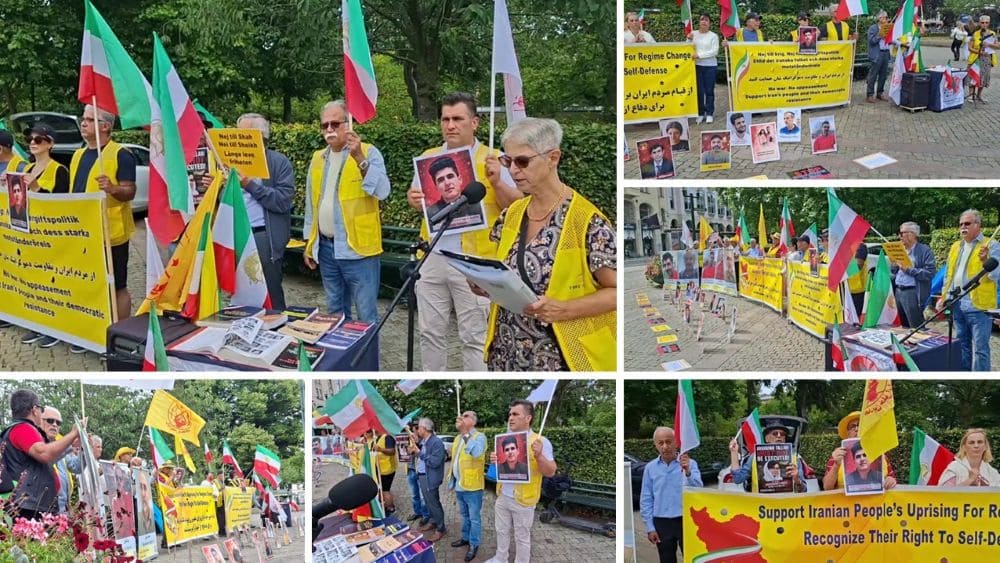PMOI supporters rally in Malmö to protest execution of Mehdi Khanaki.